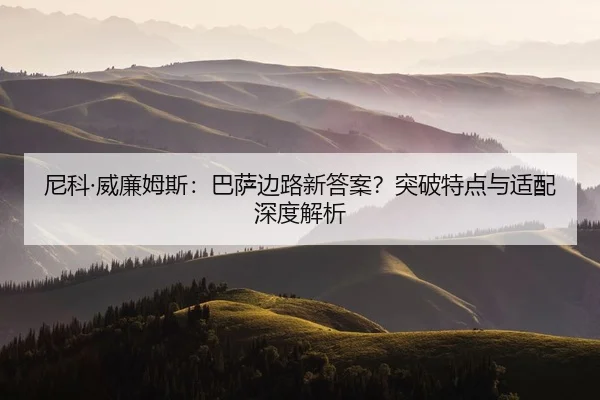 ni-ke-wei-lian-mu-si-ba-sa-bian-lu-xin-da-an-tu-po-te-dian-yu-shi-pei-shen-du-jie-xi-2-162.jpg