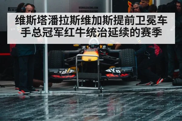 Red Bull racing team