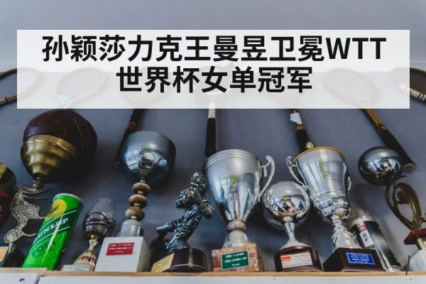 孙颖莎力克王曼昱卫冕WTT世界杯女单冠军
